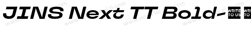 JINS Next TT Bold字体转换